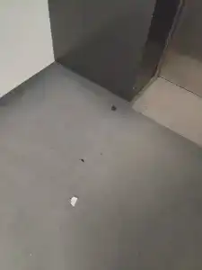 Aquarium by ZONT Group - 43