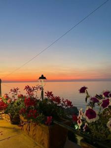Laudato Sii B&B - 0