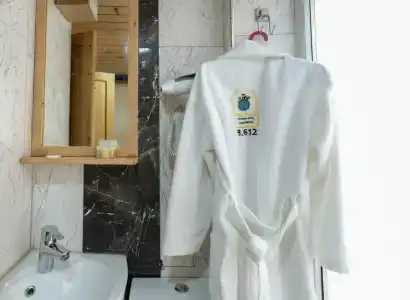 The Little Prince - 12