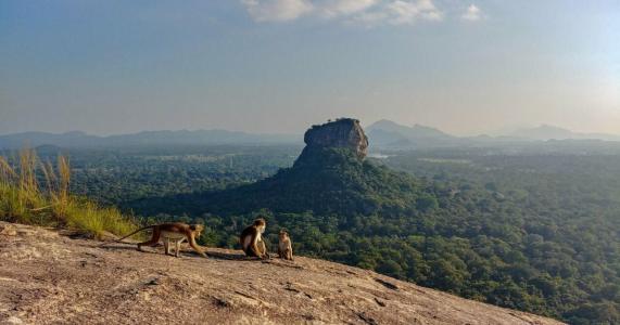 Back of Beyond - Pidurangala - 3