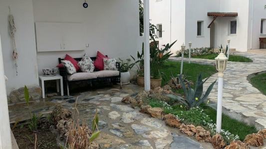 Canna Garden - Adults Only - 44