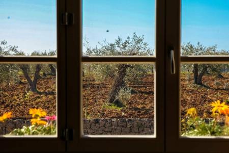 Zahir Country House - 11