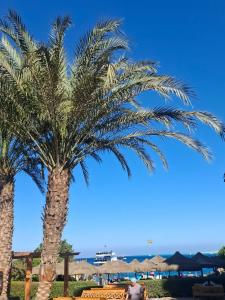 Sun & Sea and Aqua Park - - 48