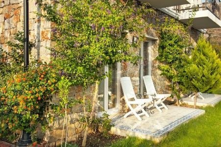 Swan Lake - Adult Only - 45