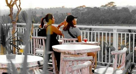 MaxOnes at Ubud - 22