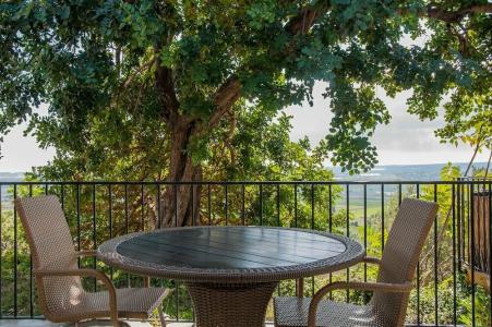 Kallikoros Country Resort & Spa - 29