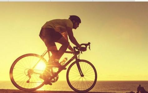 Litohoro Olympus Resort Villas & Spa - 26