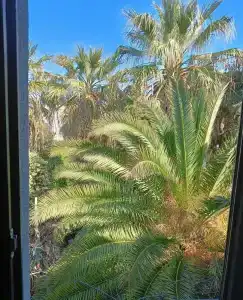 My marin otel turgutreis Butik - 8