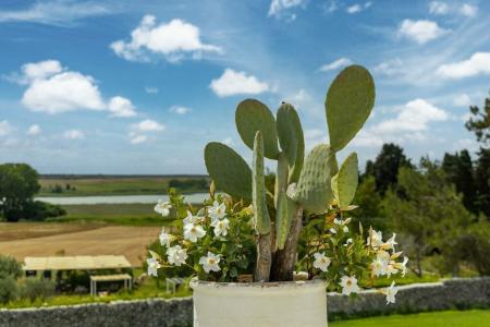 Baglioni Masseria Muzza Resort & Spa - 43