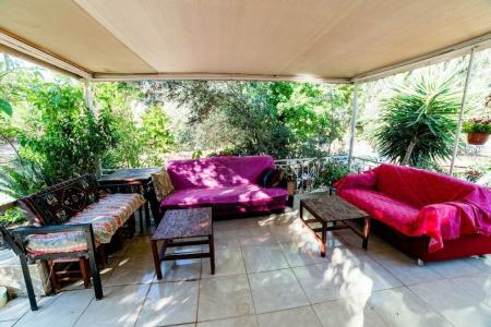 Eucalyptus Pension - 7