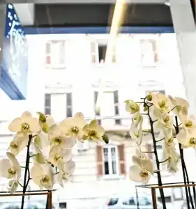 up Wellness & Spa - 3