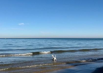 Borgo Marina - 24