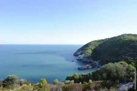 Pugnochiuso Resort - Degli Ulivi - 29