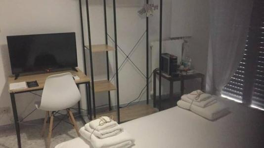 Gatto Bianco Picone 19 - 32