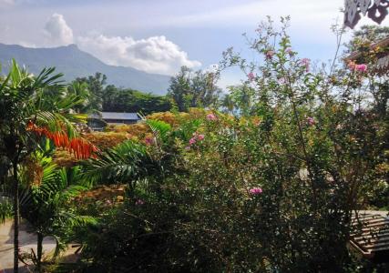 Romance Bungalows - 18