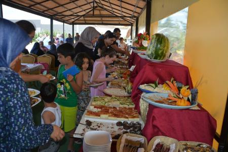 Garden Kale Thermal - 49