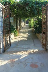 B&B Il Grappolo - 19