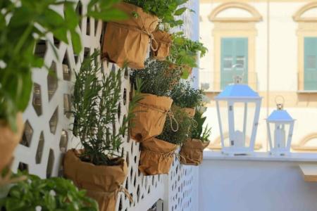 Jardin de France - 8