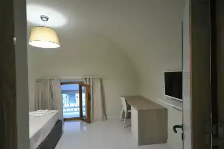 Gatto Bianco Duchessa - 29