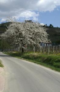 La Martinella - 2