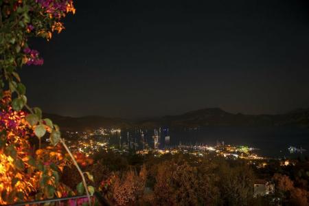 Swan Lake - Adult Only - 29