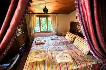 Lemon Villa - Adult Only - 11