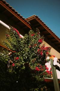 Vira Apart & Suits - 42