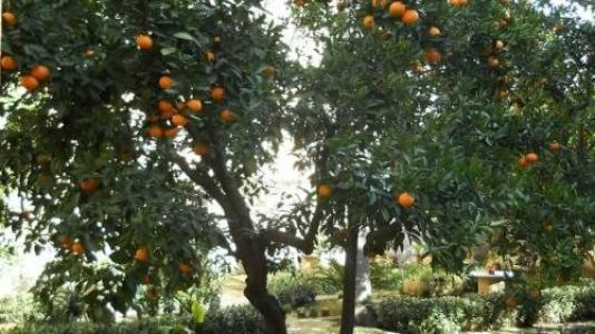 B&b l'Orangerie d'Epoque - 6