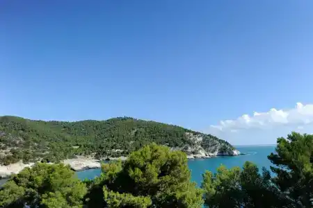Pugnochiuso Resort - Degli Ulivi - 46