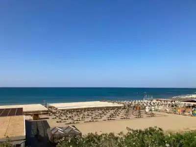 Tui Magic Life Jacaranda - 20