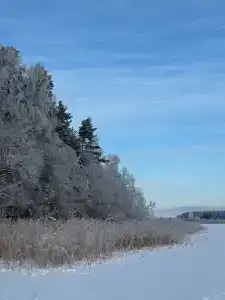 Eco Park Tourist base - 76