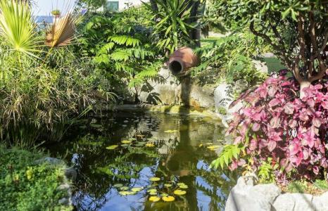 Terme Tritone Resort & Spa - 24