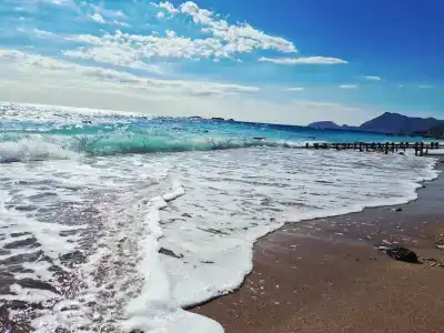 Armas Kaplan Paradise - 40