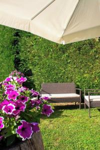 Albergo Il Giardino del Rio - 3