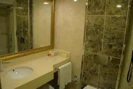 Ege Palas Business - 31