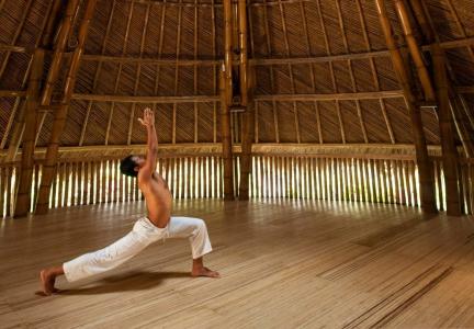 Fivelements Ubud - 4