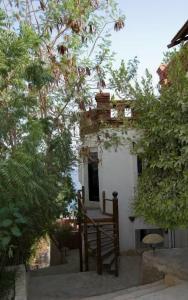 Umbi Sharks Bay Diving Village - 29