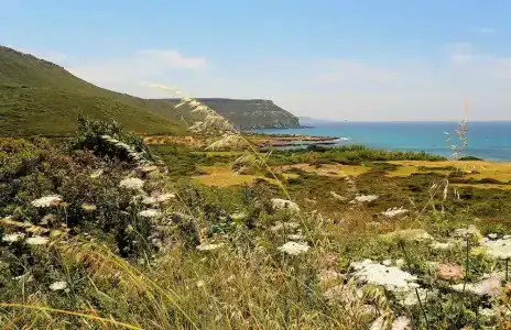 Baja Romantica - 11