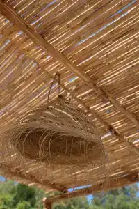 Terme Oriente - Beach & Spa - 23