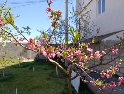 Visit Guest House - 4