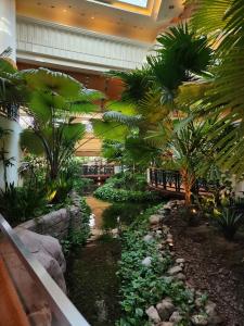 Grand Hyatt - 20