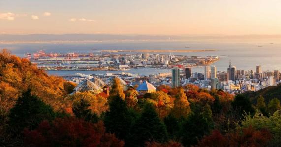 Kobe Nadeshikoya - 8