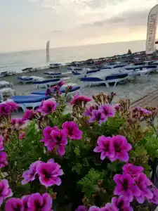 Royalisa Palmiye Beach +16 Adult Only - 8