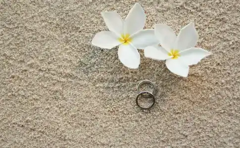 Hilton Seychelles Northolme Resort & Spa - 34