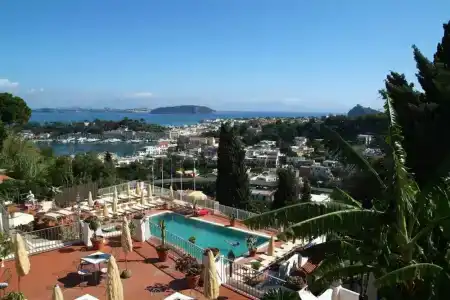 Don Pedro - 2