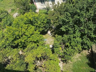 Il Giardino di Vico Neve - 4