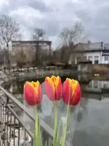 Nadezhda Park-Hotel - 44