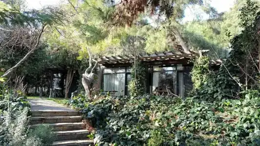 Triada Büyükada - 30