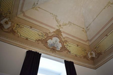 Gatto Bianco Duchessa - 39