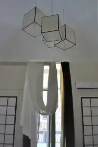 Gatto Bianco Duchessa - 10